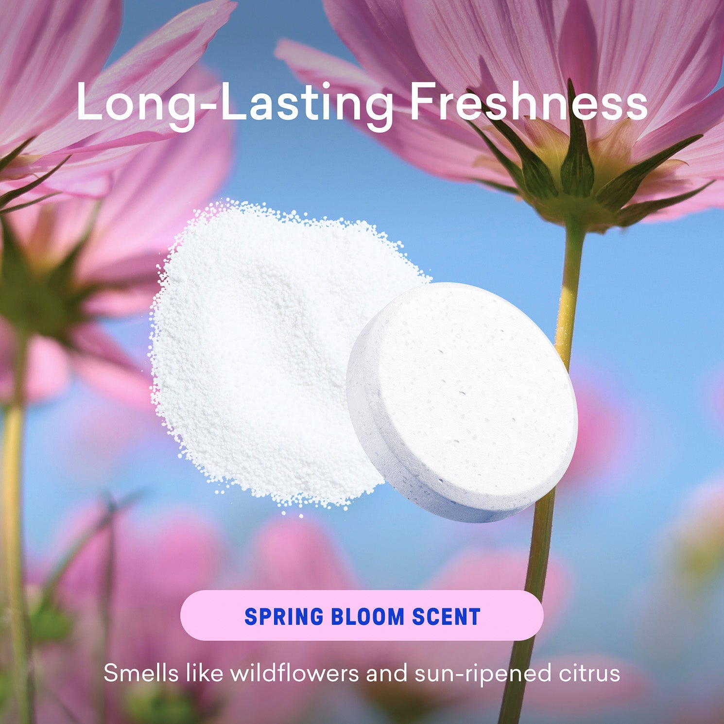 Laundry Essentials Kit - Image 7