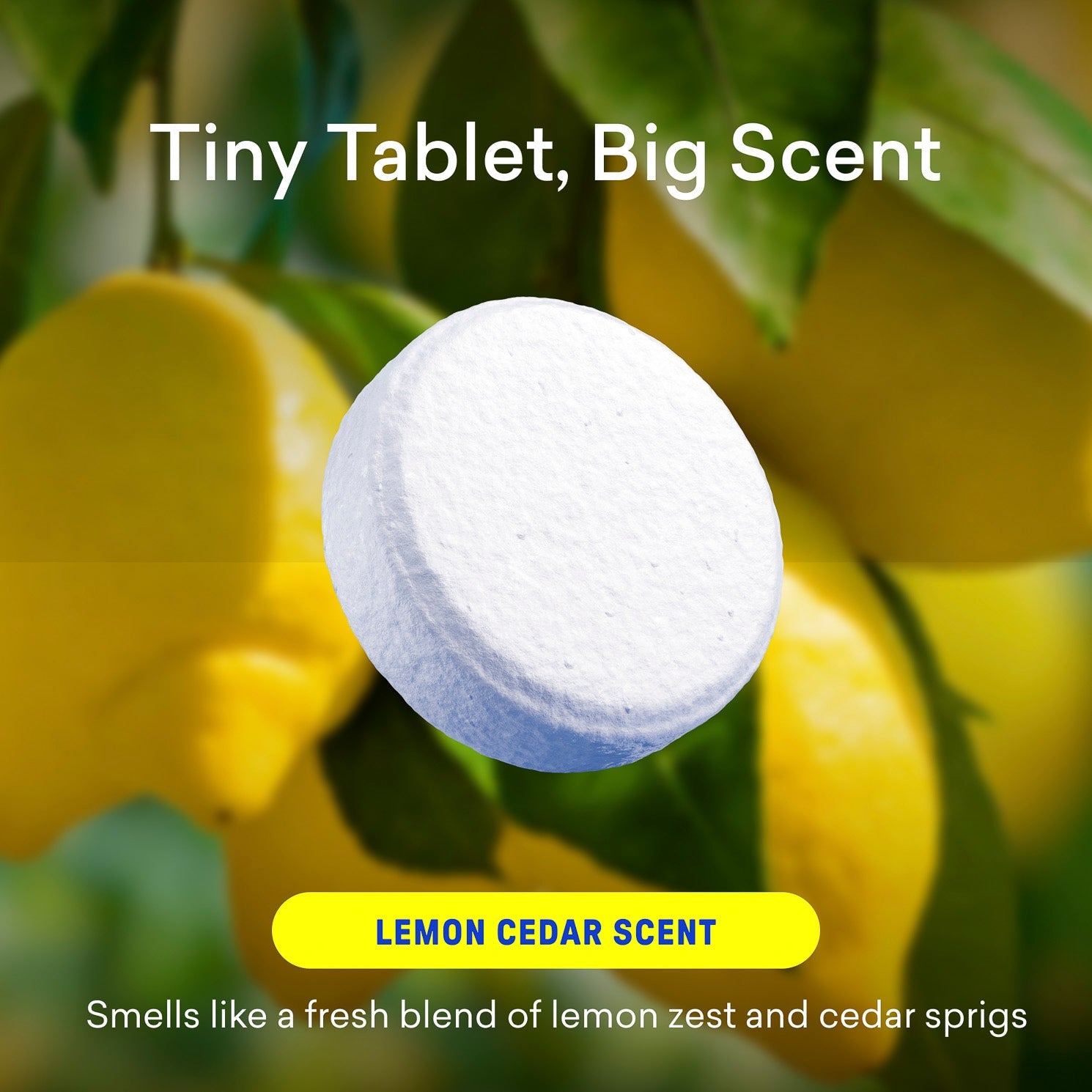 Toilet Bowl Cleaner Tablets Refills - Image 10