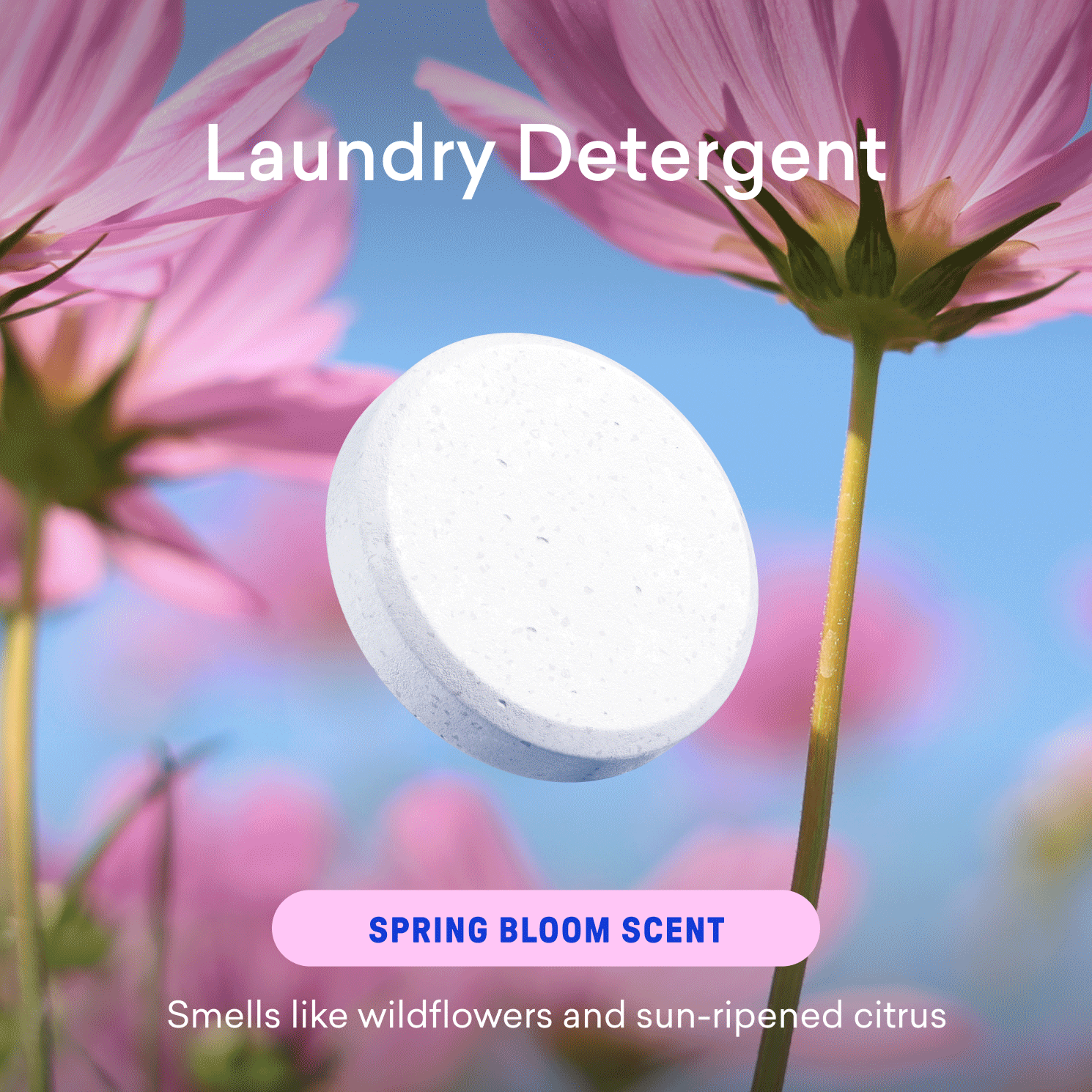 Dishwasher & Laundry Detergents Duo - Image 8