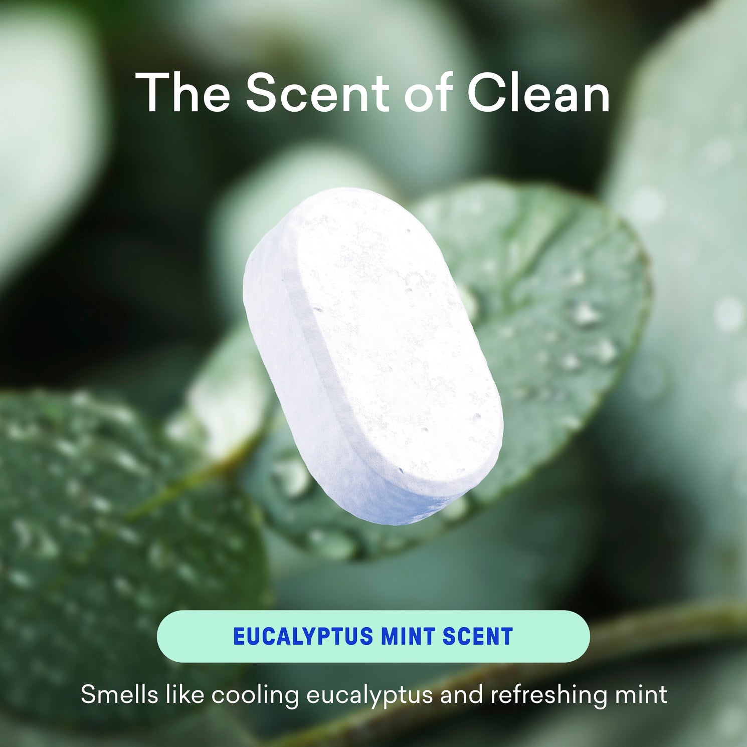 Bathroom Cleaner Tablet Refills - Image 3