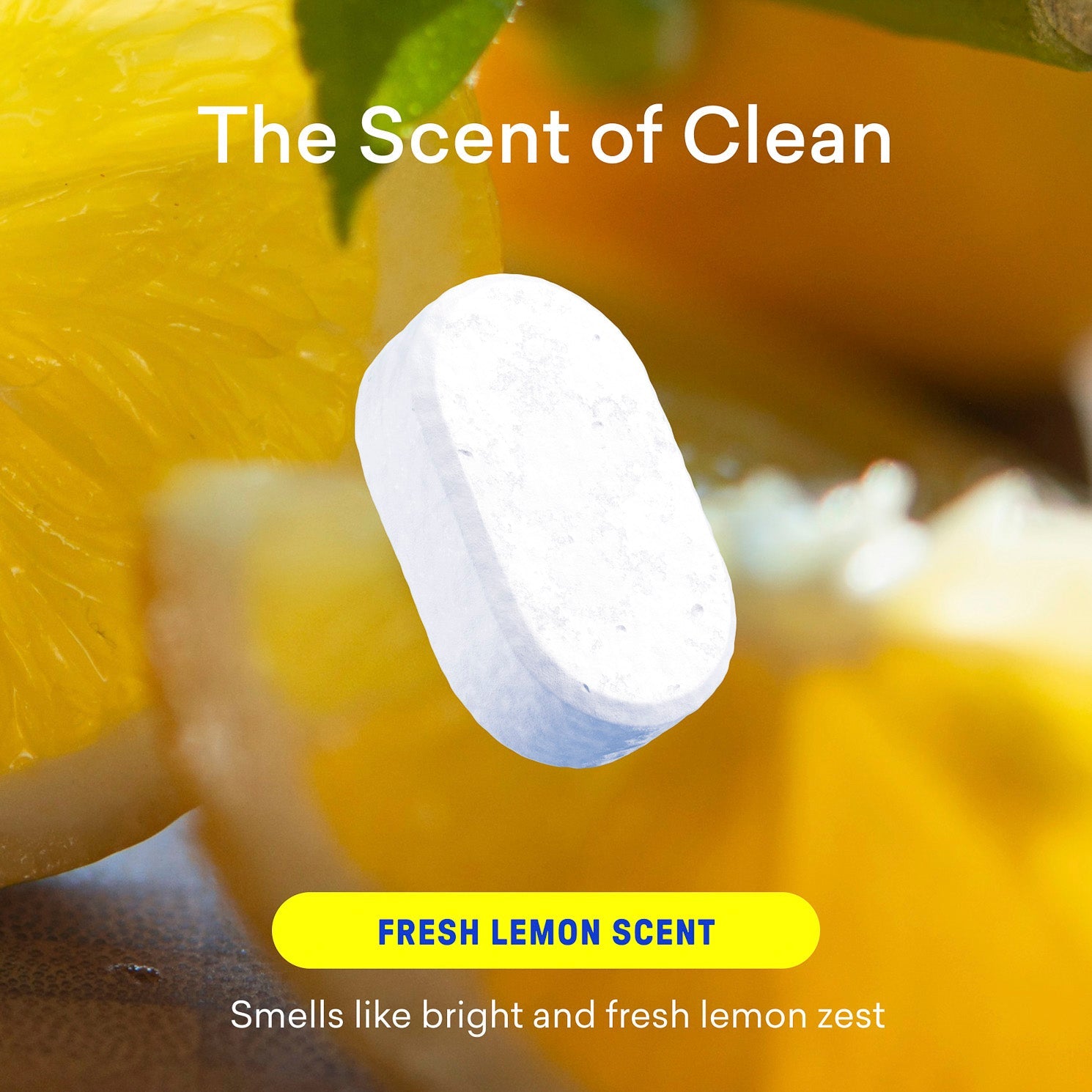 Multi-Surface Cleaner Tablet Refills - Image 3