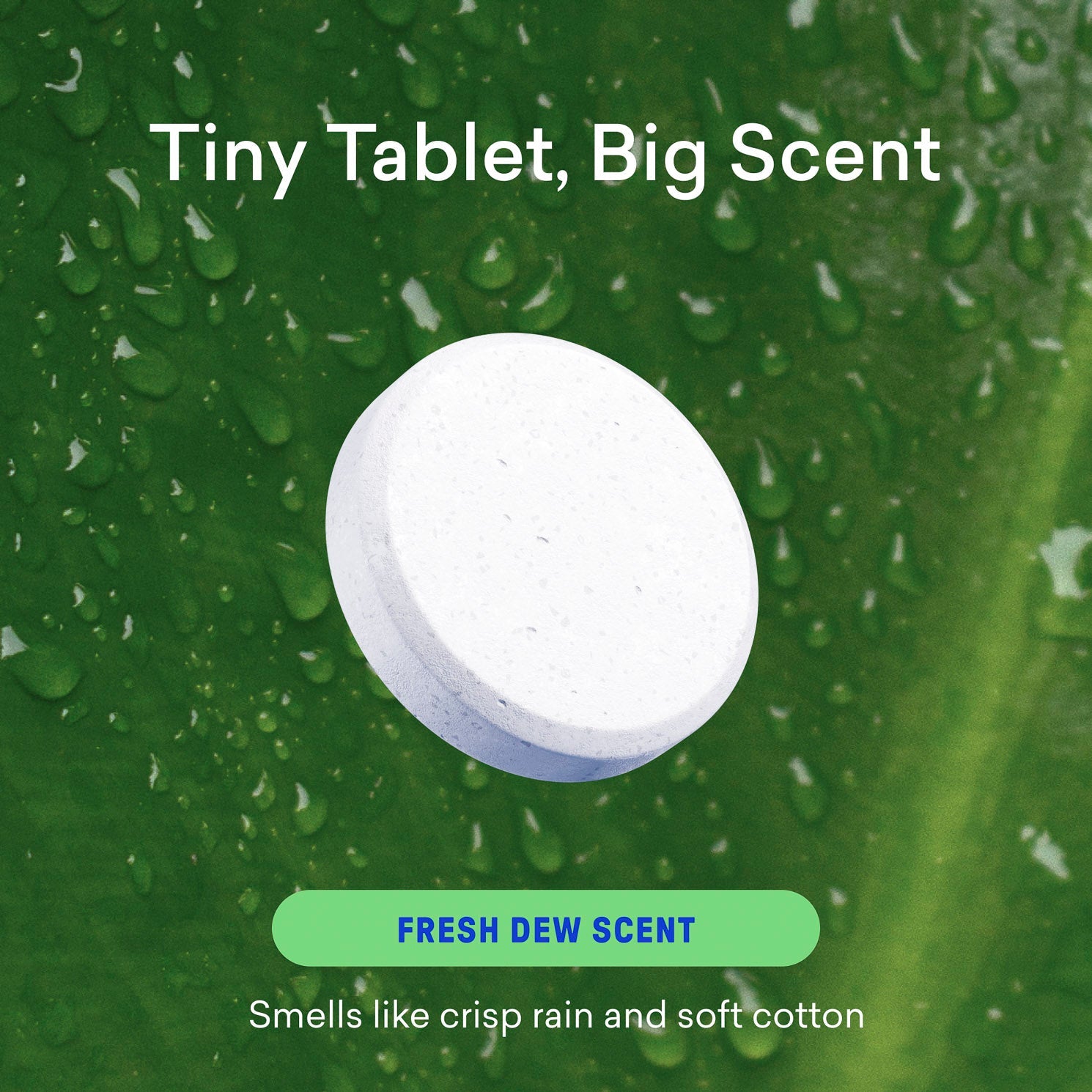 Laundry Detergent Starter Sets - Image 9